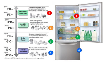 Why Fridge Ices Up: Temperature Guide