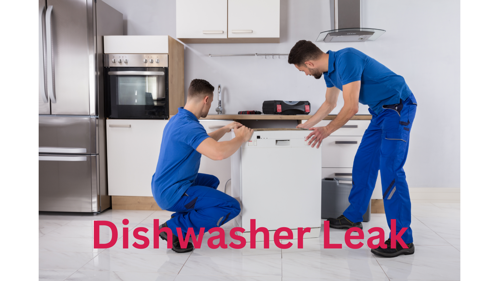 Dishwasher Door Is Leaking: Seal Repair Guide