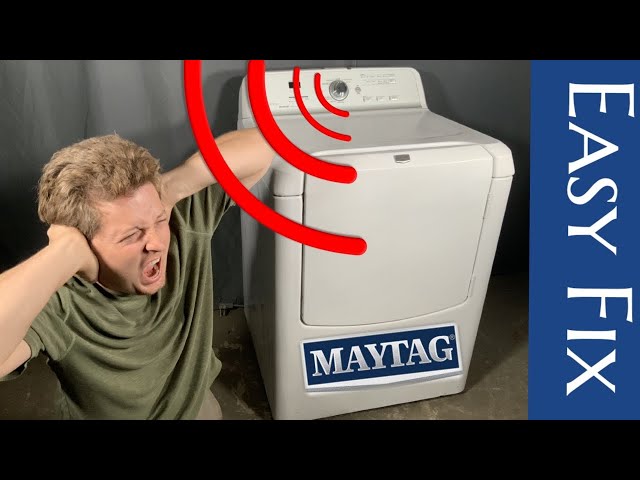 Dryer Is Making a Squeaking Noise: Fix Guide